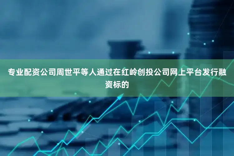 专业配资公司周世平等人通过在红岭创投公司网上平台发行融资标的