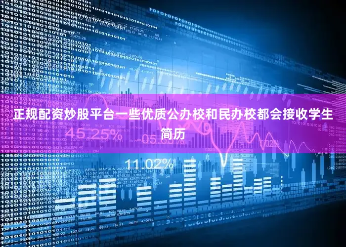 正规配资炒股平台一些优质公办校和民办校都会接收学生简历